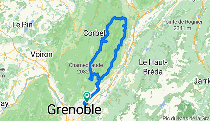 Round chartreuse