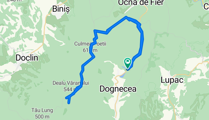 dognecea g2