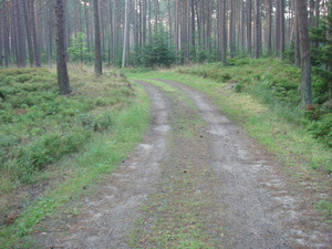 Point fort 11 sur l’itinéraire Bikemap « Dzikość i tajemnice Wyspy Wolin »