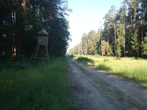 Point fort 22 sur l’itinéraire Bikemap « Dzikość i tajemnice Wyspy Wolin »