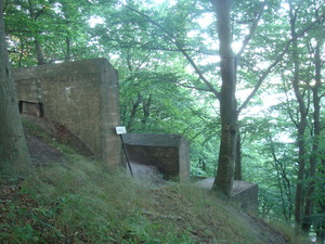 Point fort 21 sur l’itinéraire Bikemap « Dzikość i tajemnice Wyspy Wolin »
