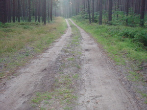 Point fort 10 sur l’itinéraire Bikemap « Dzikość i tajemnice Wyspy Wolin »