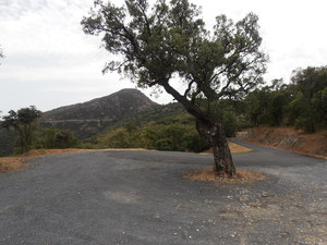 Destacado 1 en la ruta de Bikemap "Beklimming Madeloc en afdaling naar Port Vendres" Destacado 1 en la ruta de Bikemap "Beklimming Madeloc en afdaling naar Port Vendres"