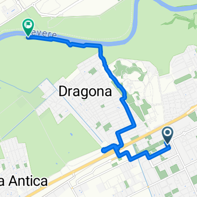 acilia-dragona