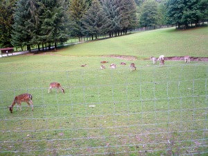 Atrakcja 1 na trasie Bikemap „Fulda Radweg R1”