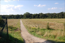 Highlight 3 along the Bikemap route "Na Bajkał"
