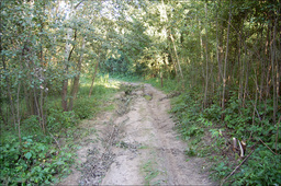 Highlight 16 along the Bikemap route "Na Bajkał"