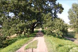 Highlight 6 along the Bikemap route "Na Bajkał"