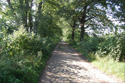 Highlight 19 along the Bikemap route "Na Bajkał"