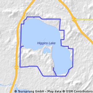 Higgins Lake