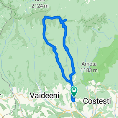 Valeanu - Vf. lui Roman
