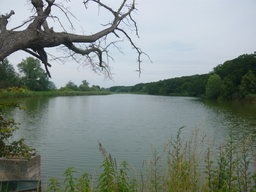 Destacado 10 en la ruta de Bikemap "Okruh přes N.Bydžov,Hlušice a Běrunice"