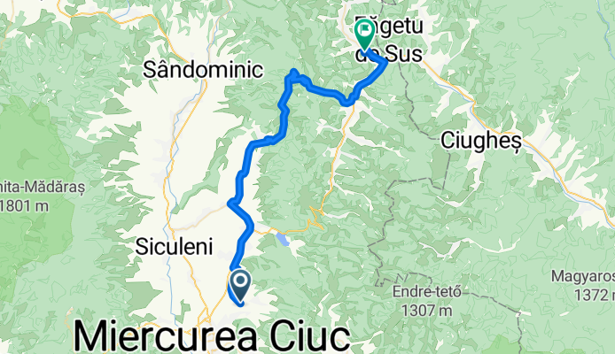 Nicky - Day 4. 15.08.2014