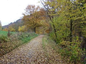 Atrakcja 4 na trasie Bikemap „Vichtbachtal Hohes-Venn”