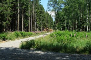 Atrakcja 9 na trasie Bikemap „Vichtbachtal Hohes-Venn”