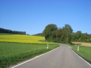 Hebe Bild 4 entlang der Bikemap-Route "Vom Meersburg zum Gehrenberg" hervor