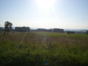 Hebe Bild 3 entlang der Bikemap-Route "Vom Meersburg zum Gehrenberg" hervor