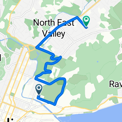 1a. Crono Baldwin street Dunedin