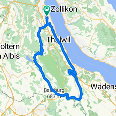 Albis - Hirzel Training