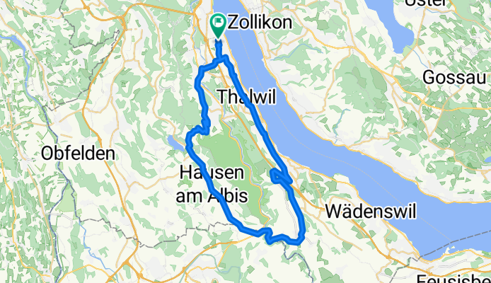 Albis - Hirzel Training