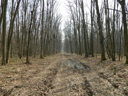 Highlight 12 along the Bikemap route "padurea baneasa"