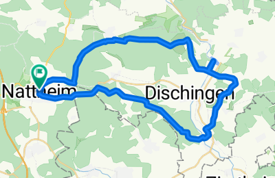 Route in der Bikemap App öffnen