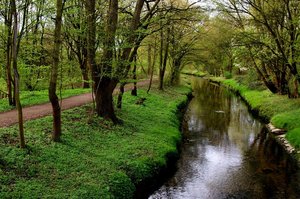 Hebe Bild 2 entlang der Bikemap-Route "Schloss Benrath" hervor