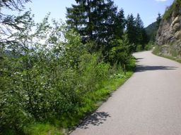 Point fort 5 sur l’itinéraire Bikemap « Lenggries - Walchensee - Sylvenstein See » Point fort 5 sur l’itinéraire Bikemap « Lenggries - Walchensee - Sylvenstein See »