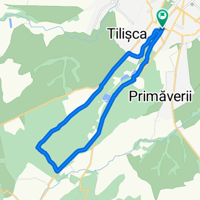 Parc Subarini Sibiu - pista noua - Parc Subarini