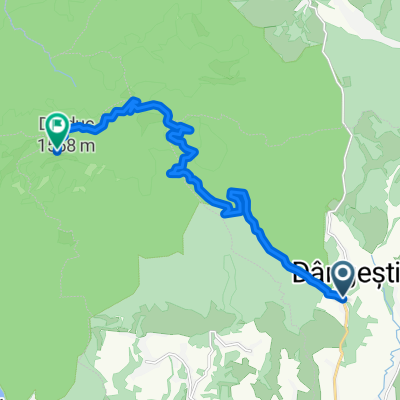 Urcare la Cabana Cozia