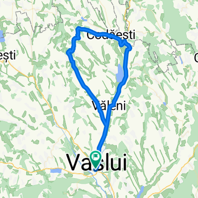 VARIANTA Vaslui-Codaesti-Danesti