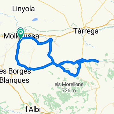 mollerusa guimera mollerusa