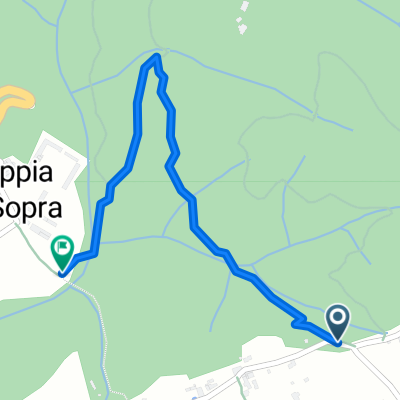 2014 - inv - filecchio loppia