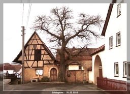 Highlight 29 along the Bikemap route "8. Tour - über den Fuchsturm nach Schöngleina" Highlight 29 along the Bikemap route "8. Tour - über den Fuchsturm nach Schöngleina"