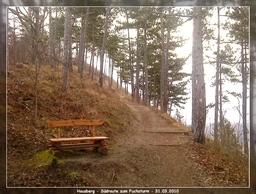 Highlight 8 along the Bikemap route "8. Tour - über den Fuchsturm nach Schöngleina" Highlight 8 along the Bikemap route "8. Tour - über den Fuchsturm nach Schöngleina"