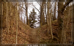 Highlight 12 along the Bikemap route "8. Tour - über den Fuchsturm nach Schöngleina" Highlight 12 along the Bikemap route "8. Tour - über den Fuchsturm nach Schöngleina"