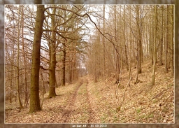 Highlight 39 along the Bikemap route "8. Tour - über den Fuchsturm nach Schöngleina" Highlight 39 along the Bikemap route "8. Tour - über den Fuchsturm nach Schöngleina"