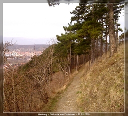 Highlight 9 along the Bikemap route "8. Tour - über den Fuchsturm nach Schöngleina" Highlight 9 along the Bikemap route "8. Tour - über den Fuchsturm nach Schöngleina"