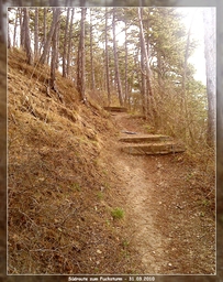 Highlight 7 along the Bikemap route "8. Tour - über den Fuchsturm nach Schöngleina" Highlight 7 along the Bikemap route "8. Tour - über den Fuchsturm nach Schöngleina"