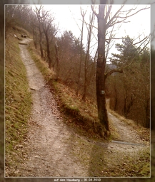 Highlight 15 along the Bikemap route "8. Tour - über den Fuchsturm nach Schöngleina" Highlight 15 along the Bikemap route "8. Tour - über den Fuchsturm nach Schöngleina"