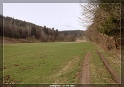 Highlight 32 along the Bikemap route "8. Tour - über den Fuchsturm nach Schöngleina" Highlight 32 along the Bikemap route "8. Tour - über den Fuchsturm nach Schöngleina"