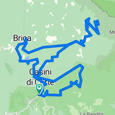 orecchiella - estivo