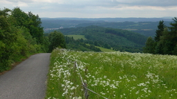 Highlight 15 along the Bikemap route "Okruh přes vrchol Královeckého Špičáku a Debrné"