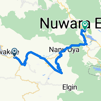 Talawakelle - Nuwara Eliya