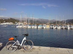 Highlight 5 along the Bikemap route "Mallorca: Calvià-es Capdellà-Andratx-Port d'Andratx-es Camp de Mar-Peguera-es Capdellà-Calvià"