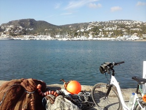 Highlight 4 along the Bikemap route "Mallorca: Calvià-es Capdellà-Andratx-Port d'Andratx-es Camp de Mar-Peguera-es Capdellà-Calvià"
