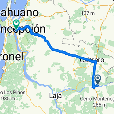 SALTO DEL LAJA-CONCEPCION