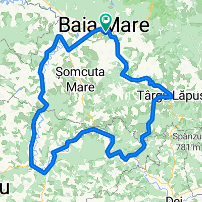 Baia Mare-Tg.Lăpuş-Baba-Gâlgău-Răstoci-Ciocmani-Jibou-Benesat-Ulmeni-Fărcaşa-Ardusat-Baia Mare