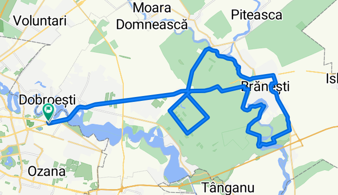 Cora Pantelimon - Branesti - Pasarea