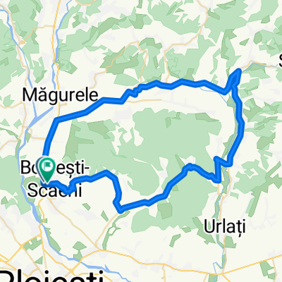 cursiere seciu